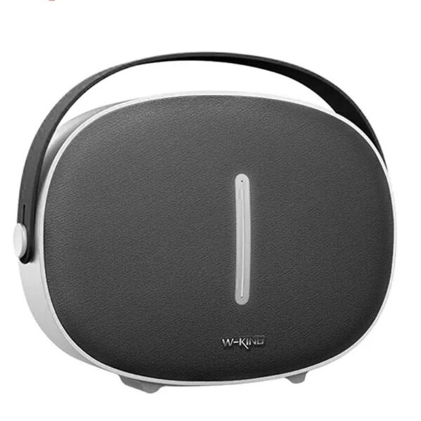 Buy-Original-W-KING-T8-HIFI-Speaker-in-Pakistan
