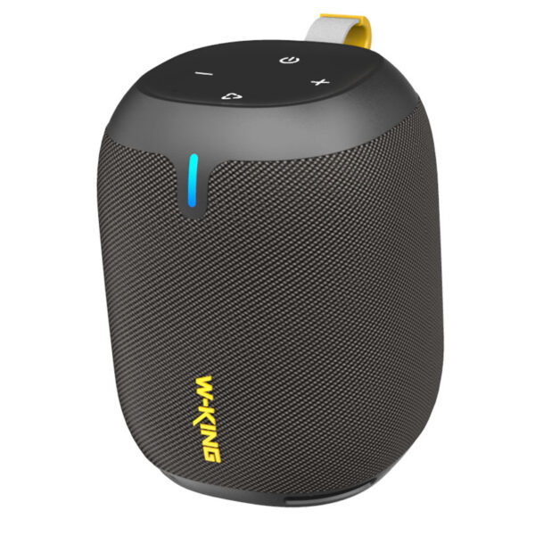 Buy-W-king-D120-Bluetooth-speaker-in-Pakistan