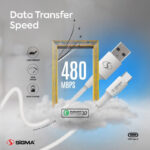 Sigma Data Cable Type C 2