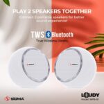 Sigma Loudy Portable Speaker WPS-01 White(Pair)